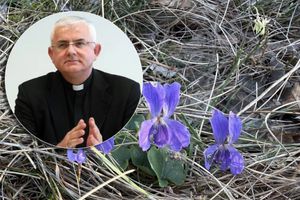 Nadbiskup Uzinić: "Moramo biti svjesni koliko ste neravnopravno tretirane samo zato što ste žene"