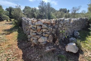 Na 22 lokacije na Olibu spašeni suhozidi: "Kamen treba poštovati"