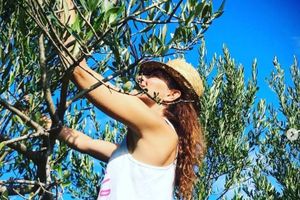 Noćnjak 2026.  - Evo tko su najuspješniji maslinari i koja su ulja proglašena najboljima: "Nagrađena i Zrinka Cvitešić"