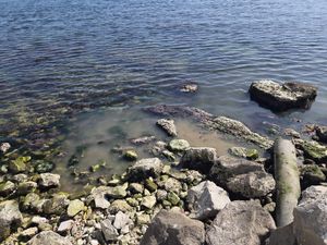 JADRAN NA ČEKANJU Dok turizam cvjeta, trećina ispusta i dalje bljuje sirovu kanalizaciju u more - Imamo najnižu stopu pročišćavanja voda u EU!