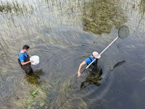 FOTO Krka i Čikola pod zaštitom: Uklanjaju se prijetnje autohtonim vrstama