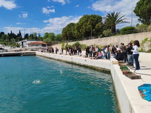 BIO kugle i ovi mladi ljudi budućnost su sretnijeg Jadrana: Učenici obilježili Dan planeta Zemlje konkretnim djelom
