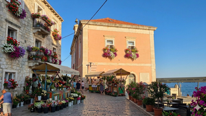 Cvjetna subota u Orebiću: Besplatne sadnice za iznajmljivače