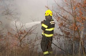 Lokaliziran požar u istarskom Barbanu: "Stigao i kanader"