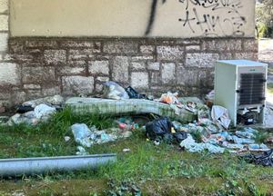 Akcija čišćenja šumskog i obalnog djela Štinjana