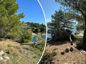 Netko iz obijesti ispilao borove uz plažu na Murteru: "Smetaju im nudisti koji tu potraže hlad"?