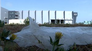 Odlagalište Kaštijun i dalje ugrožava zdravlje a turisti odlaze nepovratno