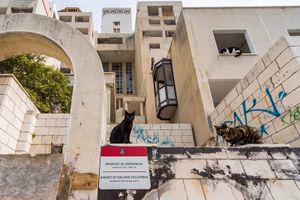 Nekada elitni dubrovački hotel se godinama raspada: "Caruju mačke"