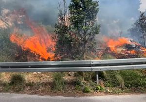 UMALO KATASTROFA IZMEĐU BRNE I PRIŽBE Korčulanski vatrogasci upozorili: "Stroga je zabrana paljenja na snazi, ne igrajte se s vatrom!"