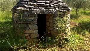 Vodnjan vraća život kažunima: Tradicija suhozida prenosi se novim generacijama