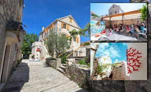OD RUŠEVINE DO SRCA OTOKA Kuća Šare na Zlarinu postala je 'otočni kampus' koji prkosi zimskoj hibernaciji!