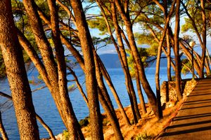 "OTOK ŽENA" Izložba u Jelsi koju vrijedi posjetiti