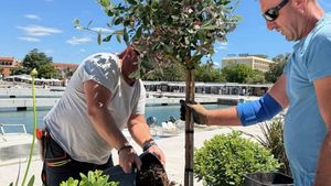 Uređenje rive u Poreču ulazi u završnicu: mediteransko bilje i istarski kamen za novu vizuru