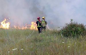 Od carskih poreza do socijalističkog oduzimanja: Kako su se kroz povijest kažnjavali vlasnici zapuštenih njiva koje danas gutaju požari?