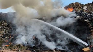 BUĐENJE UZ DIM NA HVARU: Izbio požar na lokalnom smetlištu, vatrogasci se bore s vatrom od 5 ujutro