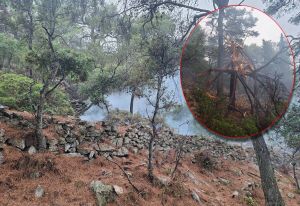MUNJEVITA REAKCIJA LOŠINJSKIH VATROGASACA: Grom izazvao šumski požar između Velog Lošinja i brda Sv. Ivan