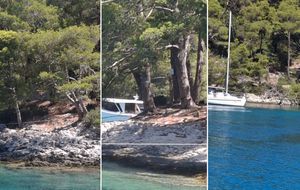 VIDEO 'Dušu dalo za izgubiti glavu!' Totalni kaos u poznatoj uvali kod Lošinja - Prizori opasne gluposti zaprepastili nautičare