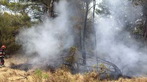 NOVO NEVRIJEME DONIJELO PROBLEME: Grom izazvao novi požar na Čiovu, tek što je prethodni proglašen ugašenim!