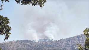 Lokalizirana Dinara i ugašen požar kod Omiša, Konavle i dalje aktivno!