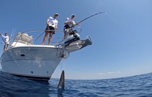 ROGOZNIČKI AKVATORIJ PREPUN TUNE Drugi ribolovni dan trećeg izdanja međunarodnog „Adriatic offshore tune championship Rogoznica 2026.”