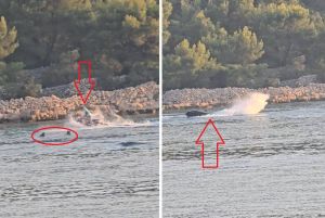 APEL S KAPRIJA Očajni mještani i turisti poručuju: „Živimo u strahu od tragedije, šetnica je postala trkaća staza, a uvala poligon za divljanje!“