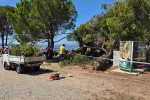 CRIKVENICA Bor se srušio ravno na kupače