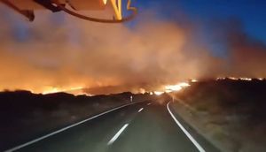 ZAR NIJE DOSTA? Rasplamsao se požar na Dugom otoku! Stiže satnija vatrogasaca trajektom iz Zadra
