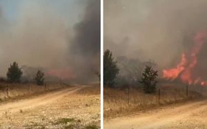 Državni poticaji za paljenje Dalmacije? Osumnjičeni za seriju požara, od 2017. primio više od 220.000 eura potpora - Drugi dozvolio na svojoj zemlji za istovar "Crnog brda"