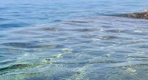 Fekalije u moru na plaži u Orebiću: "Ne kupajte se!"