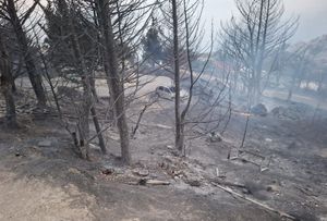 UŽAS KOD OMIŠA Tijekom pregleda opožarenog područja pronađeno mrtvo tijelo