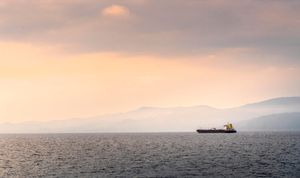 IMO: "Šest tisuća pomoraca i dalje je zarobljeno u Perzijskom zaljevu!"