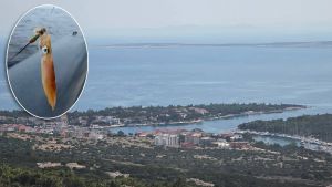 Šimuni spremni za 3. Dane liganja: Besplatna spiza, ribarske tajne i natjecanja koja osvajaju otok Pag