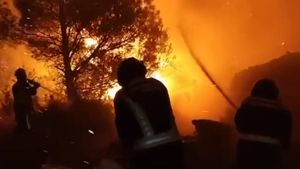 VIDEO: „MOMCI SU FAJTERI SAMO TAKVI!“ Vatrogasac snimio pakao na Braču: Pogledajte kako su od ognjene stihije spašavali kuće u Milni