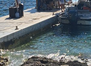 SORRY KUPAČI U Hvaru imate dva metra za kupanje jer ekipa mora 'mlatit lovu': "Pogledajte dokle je došao plažni konop!"