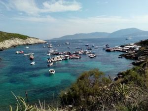 Komiška udruga zvoni na uzbunu: "Centar „Modra špilja“ – Biševo je omča oko vrata otočana, bilježi strašne gubitke"