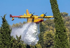 POD NADZOROM VELIKI POŽAR U KULI NORINSKOJ Izgorjelo oko 20 hektara borove šume na brdu Rujnici, stambeni objekti nisu ugroženi