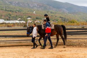 PRIČE S RANČA Konjička baština kao inspiracija za nove turističke doživljaje dalmatinskog zaleđa