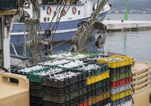 Hrvatski ribari ostvaruju 14 posto ulova EU-a u Sredozemlju i Crnom moru