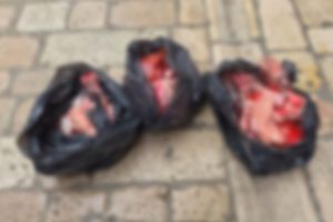 Tri vrećice s kostima i sirovim mesom bačene u centru Zadra: "Poluotok nije klaonica"