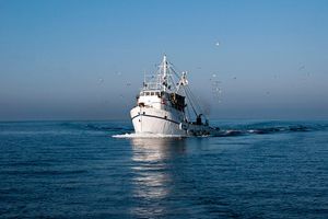 Objavljena Odluka o ribarskim plovilima autoriziranima za rad u Jabučkom džepu do 2026. godine