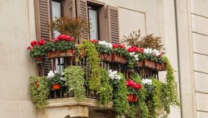 Ovaj vikend posjetite Sajam cvijeća u Orebiću