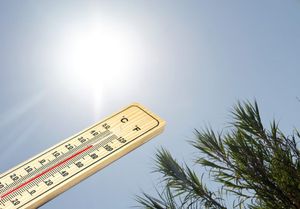 STIGLE VRUĆINE Temperature će rasti do 35 °C!