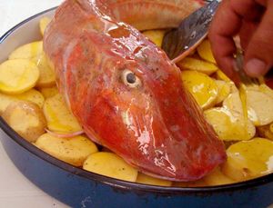 ŽELINA KUŽINA Morski kokot pod pekom