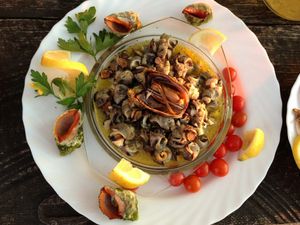 ŽELINA KUŽINA Morski puževi na salatu