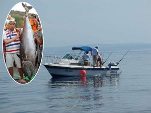 Otvoreno savjetovanje o kvoti za ribolov plavoperajne tune u 2021. godini