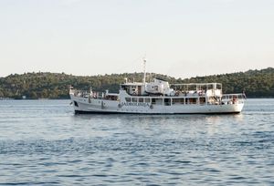 Odabrani brodari za održavanje neprofitabilnih brodskih linija