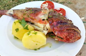 ŽELINA KUŽINA Škarpina na lešo