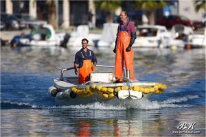 Uvijek ima (ne)poštenih ribara, ali ribe više nema za sve