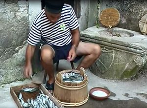 Za soljenje najbolja “majska srdela”, no kako to činiti, kad nam dolazi novi lovostaj?