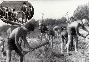 OBONJAN – Otok na kojem se nekad mladost kupala u znoju, a danas bogataši u koktelima